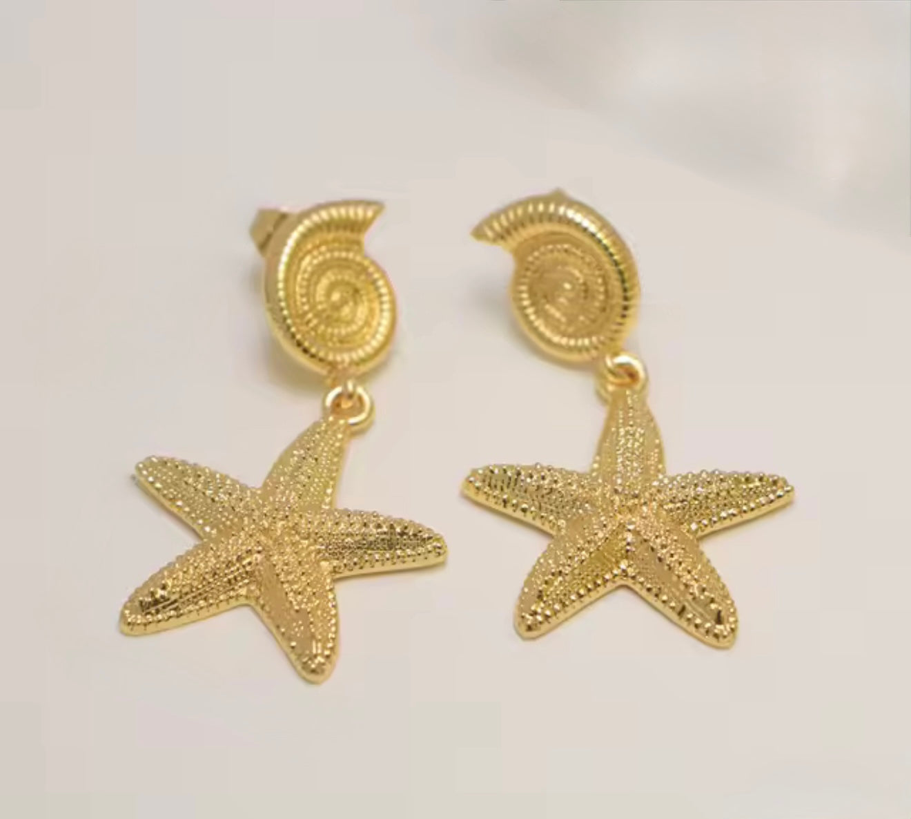Caracol + Estrella de Mar