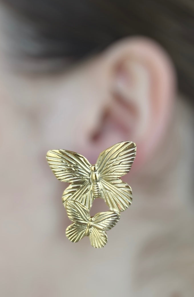 Maxi Butterfly Studs